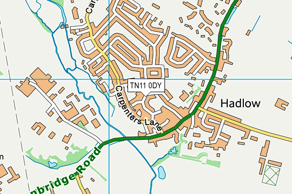 TN11 0DY map - OS VectorMap District (Ordnance Survey)