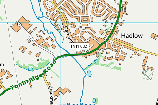 TN11 0DZ map - OS VectorMap District (Ordnance Survey)