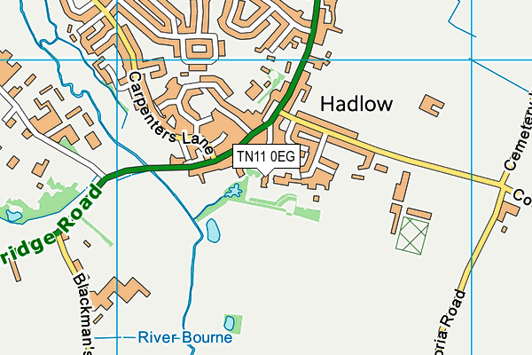 TN11 0EG map - OS VectorMap District (Ordnance Survey)