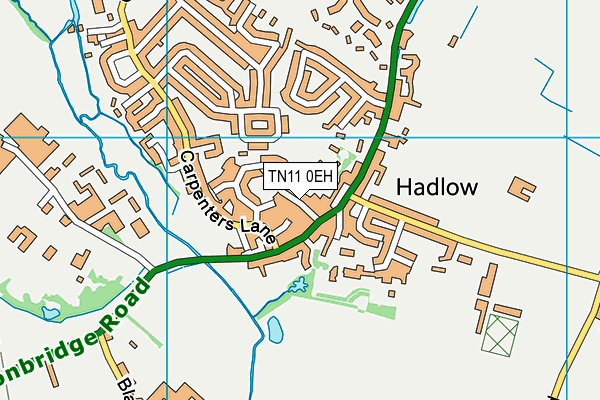 Hadlow Primary School map (TN11 0EH) - OS VectorMap District (Ordnance Survey)