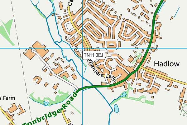 TN11 0EJ map - OS VectorMap District (Ordnance Survey)