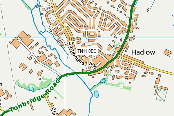 TN11 0EQ map - OS VectorMap District (Ordnance Survey)