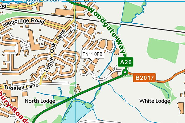 Bishop Chavasse Primary School map (TN11 0FB) - OS VectorMap District (Ordnance Survey)