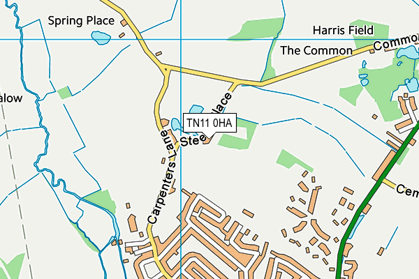 TN11 0HA map - OS VectorMap District (Ordnance Survey)