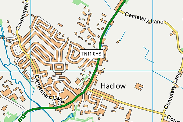 TN11 0HS map - OS VectorMap District (Ordnance Survey)