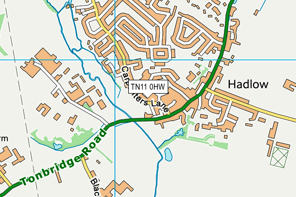 TN11 0HW map - OS VectorMap District (Ordnance Survey)