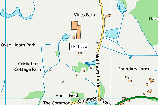 TN11 0JG map - OS VectorMap District (Ordnance Survey)