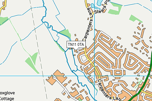 TN11 0TA map - OS VectorMap District (Ordnance Survey)