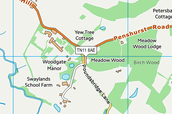 TN11 8AE map - OS VectorMap District (Ordnance Survey)