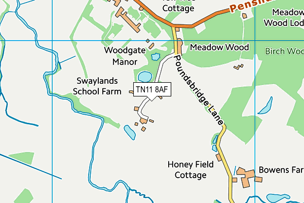 TN11 8AF map - OS VectorMap District (Ordnance Survey)