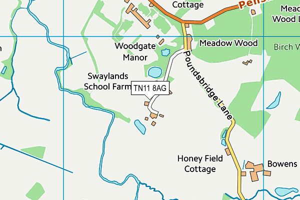 TN11 8AG map - OS VectorMap District (Ordnance Survey)