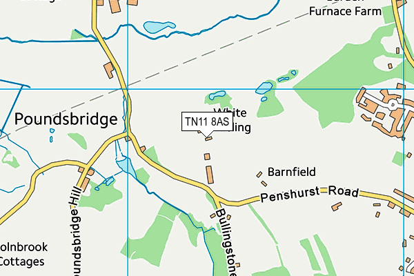 TN11 8AS map - OS VectorMap District (Ordnance Survey)