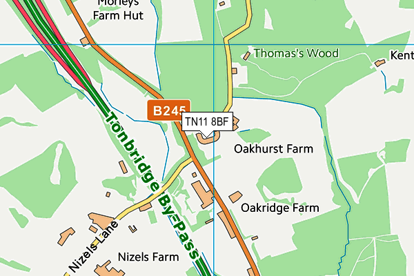 TN11 8BF map - OS VectorMap District (Ordnance Survey)