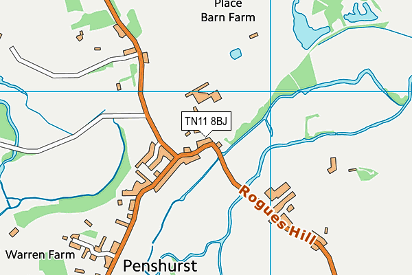 TN11 8BJ map - OS VectorMap District (Ordnance Survey)
