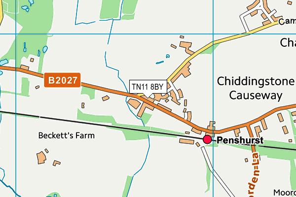 TN11 8BY map - OS VectorMap District (Ordnance Survey)