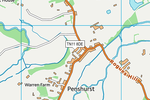 TN11 8DE map - OS VectorMap District (Ordnance Survey)