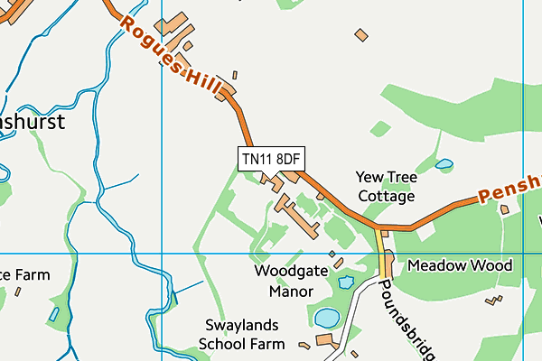 TN11 8DF map - OS VectorMap District (Ordnance Survey)
