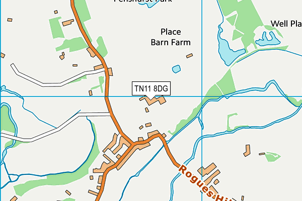 TN11 8DG map - OS VectorMap District (Ordnance Survey)