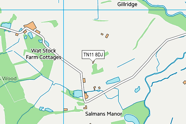 TN11 8DJ map - OS VectorMap District (Ordnance Survey)
