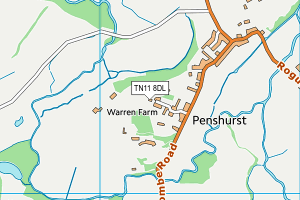 TN11 8DL map - OS VectorMap District (Ordnance Survey)