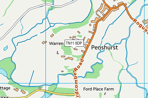 TN11 8DP map - OS VectorMap District (Ordnance Survey)