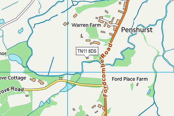 TN11 8DS map - OS VectorMap District (Ordnance Survey)