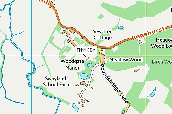 TN11 8DY map - OS VectorMap District (Ordnance Survey)