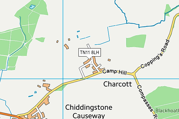 TN11 8LH map - OS VectorMap District (Ordnance Survey)
