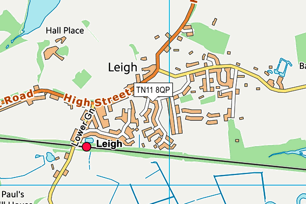 Leigh Primary School map (TN11 8QP) - OS VectorMap District (Ordnance Survey)