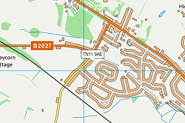 TN11 9AE map - OS VectorMap District (Ordnance Survey)