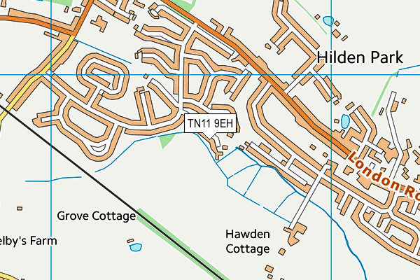 TN11 9EH map - OS VectorMap District (Ordnance Survey)