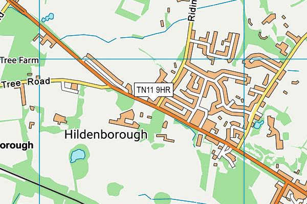 TN11 9HR map - OS VectorMap District (Ordnance Survey)