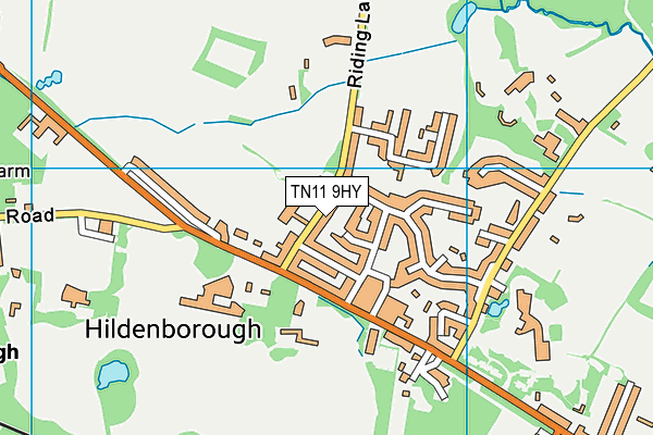Hildenborough Church of England Primary School map (TN11 9HY) - OS VectorMap District (Ordnance Survey)