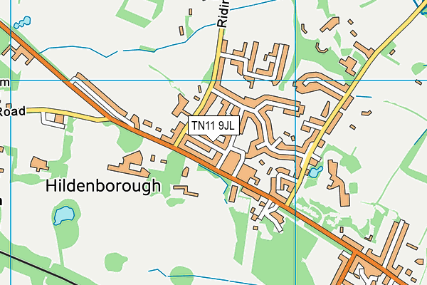 TN11 9JL map - OS VectorMap District (Ordnance Survey)