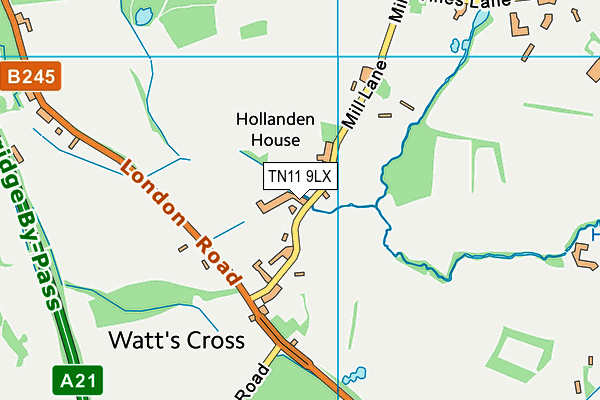 TN11 9LX map - OS VectorMap District (Ordnance Survey)