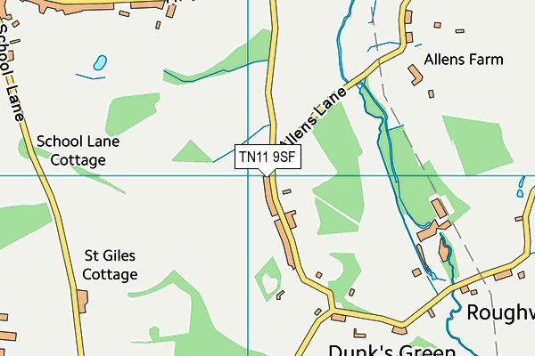 TN11 9SF map - OS VectorMap District (Ordnance Survey)