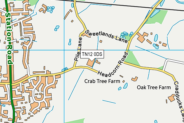 TN12 0DS map - OS VectorMap District (Ordnance Survey)