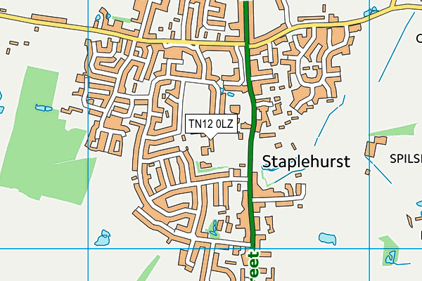 Staplehurst School map (TN12 0LZ) - OS VectorMap District (Ordnance Survey)