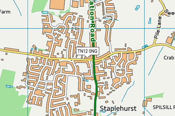 TN12 0NG map - OS VectorMap District (Ordnance Survey)