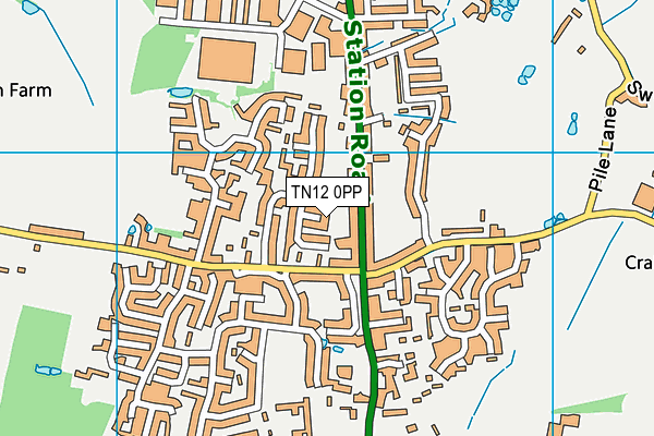 TN12 0PP map - OS VectorMap District (Ordnance Survey)