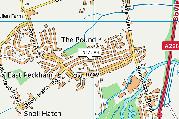 TN12 5AH map - OS VectorMap District (Ordnance Survey)