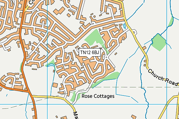 TN12 6BJ map - OS VectorMap District (Ordnance Survey)