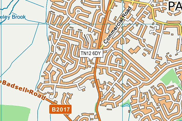 TN12 6DY map - OS VectorMap District (Ordnance Survey)