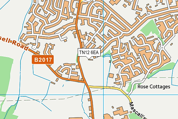 TN12 6EA map - OS VectorMap District (Ordnance Survey)