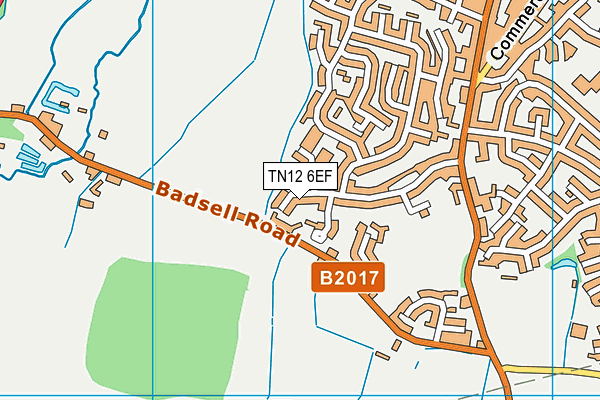 TN12 6EF map - OS VectorMap District (Ordnance Survey)