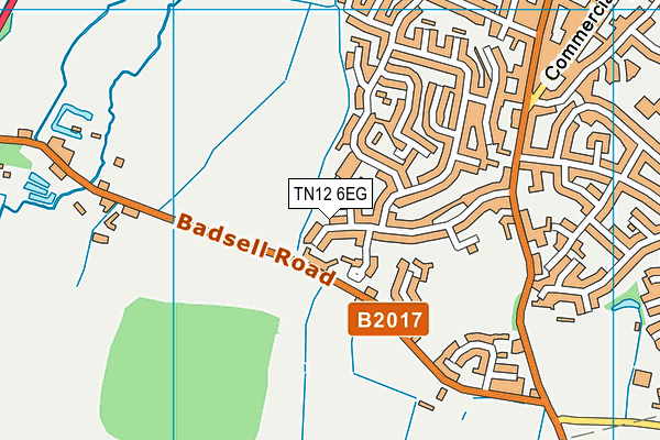 TN12 6EG map - OS VectorMap District (Ordnance Survey)