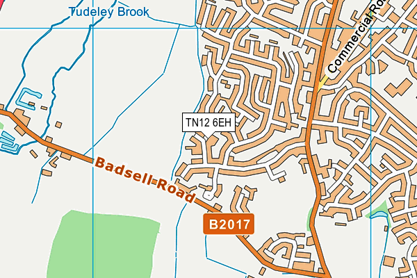 TN12 6EH map - OS VectorMap District (Ordnance Survey)