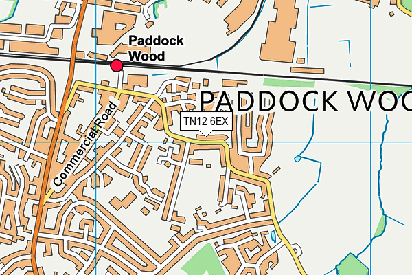 TN12 6EX map - OS VectorMap District (Ordnance Survey)