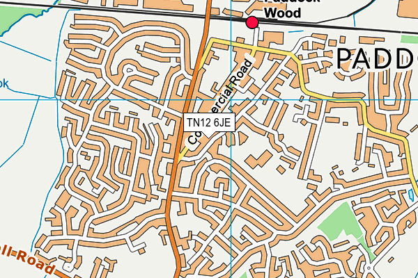 Paddock Wood Primary Academy map (TN12 6JE) - OS VectorMap District (Ordnance Survey)