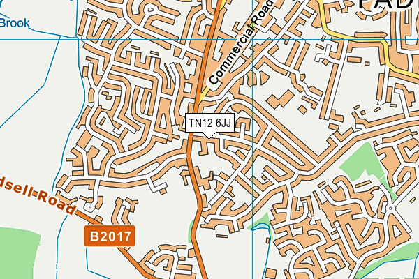 TN12 6JJ map - OS VectorMap District (Ordnance Survey)